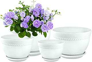 Miglior fioriera da interno per orchidee