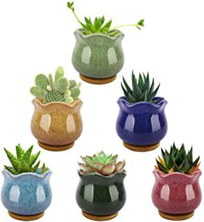 Miglior fioriere per giardino