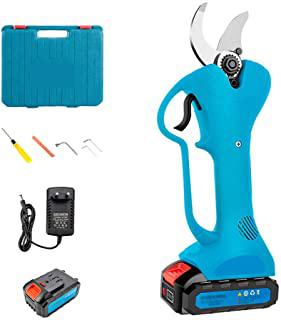 Miglior forbici da potatura a batteria amazon