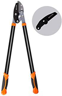 Miglior forbici da potatura a batteria stihl