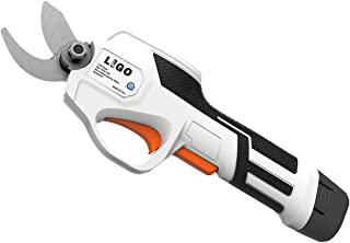 Miglior forbici da potatura elettriche