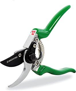 Miglior forbici potatura olivo