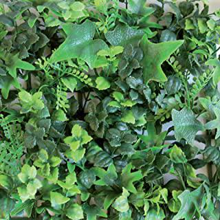 Miglior frangivista giardino