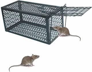 Miglior gabbia trappola per uccelli