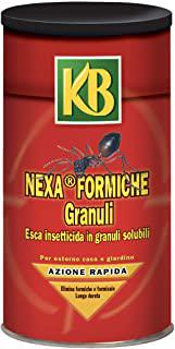 Miglior insetticida formiche