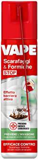 Miglior insetticida naturale per formiche