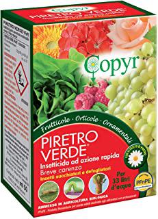 Miglior insetticida piante