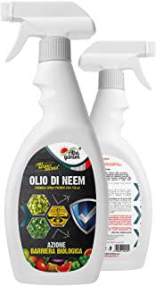 Miglior insetticida spray