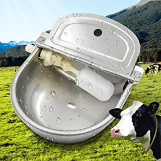 Miglior mangiatoia per pecore