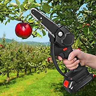 Miglior motosega potatura professionale