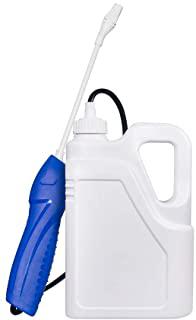 Miglior nebulizzatore per piante