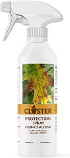 Miglior piante aromatiche da giardino