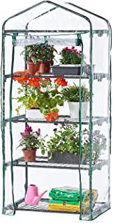 Miglior piante giardino