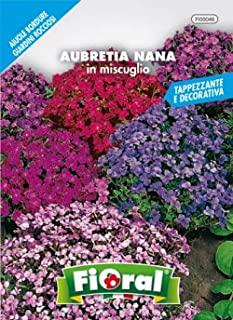 Miglior piante nane da giardino