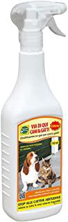 Miglior repellente per gatti giardino