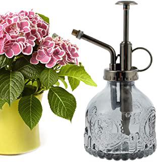 Miglior spruzzini per giardino