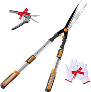 Miglior tagliasiepi manuale