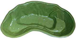 Miglior tartaruga da giardino