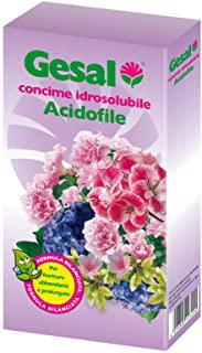 Miglior terriccio acidofile