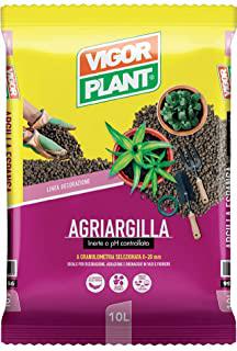 Miglior terriccio con perlite