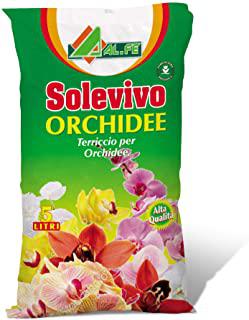 Miglior terriccio orchidee