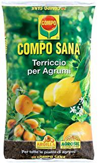 Miglior terriccio vigorplant
