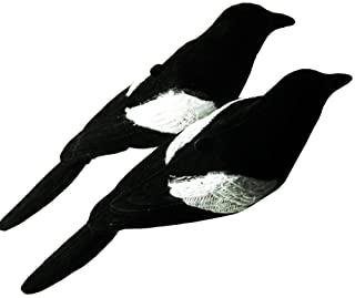 Miglior trappole per uccelli