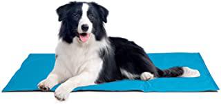 Miglior tappetini refrigeranti per cani
