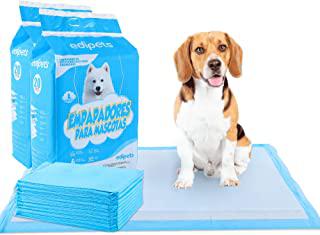 Miglior tappetino igienico per cani