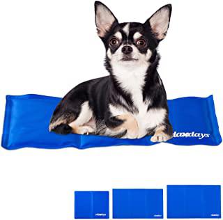 Miglior tappetino rinfrescante cane